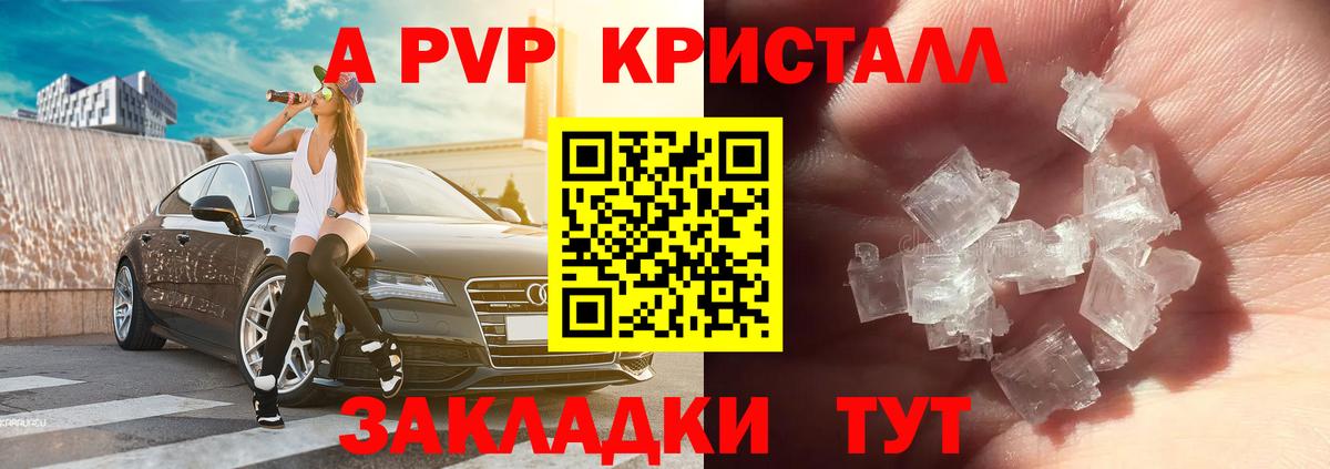 Бошки Шишки Гудермес