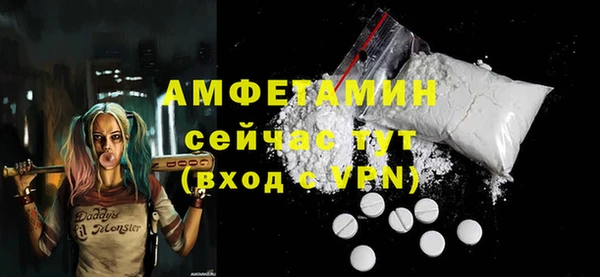 индика Бородино