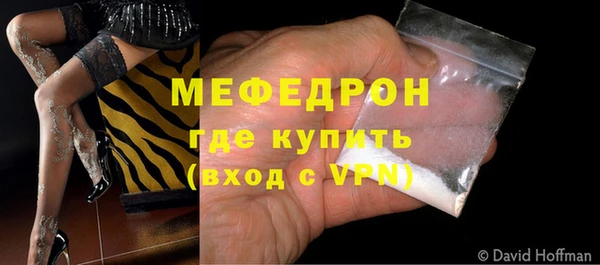 индика Бородино