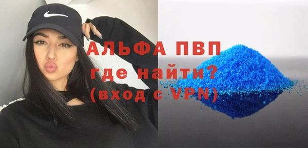индика Бородино