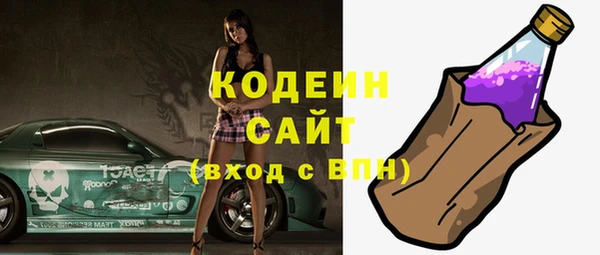 молекула духа Гвардейск