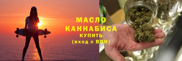 индика Бородино