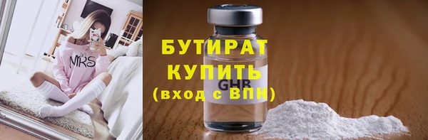 индика Бородино