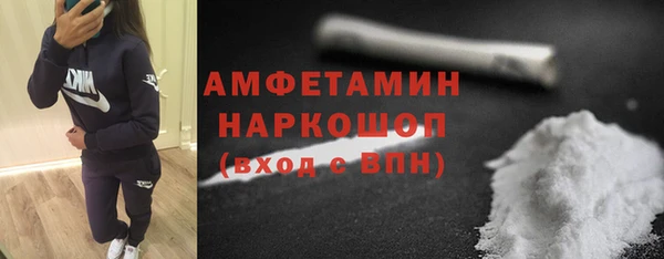 индика Бородино