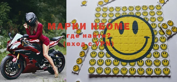Альфа ПВП Верея