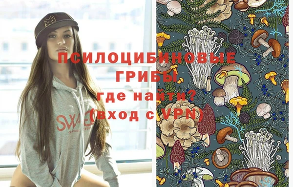 герыч Верхний Тагил