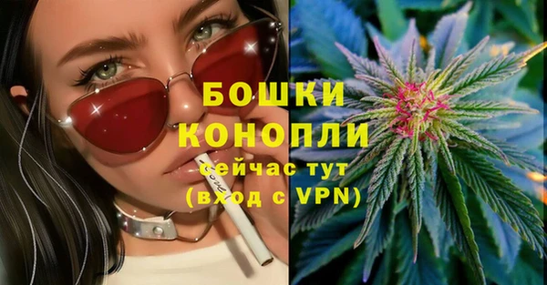 Альфа ПВП Верея