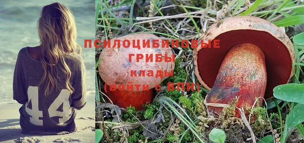 индика Бородино