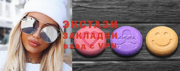 индика Бородино