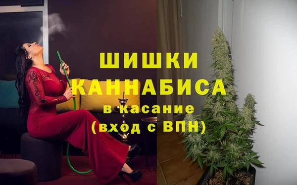 индика Бородино