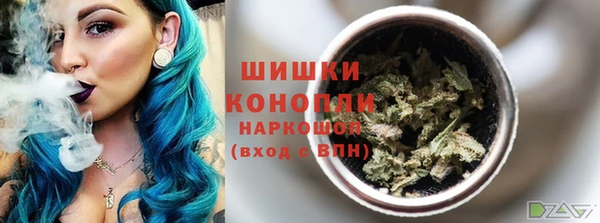амф Бронницы