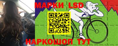 стаф Кунгур