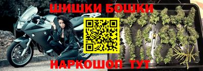 стаф Кунгур