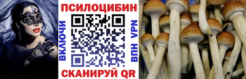 Галлюциногенные грибы ЛСД  что такое   Гудермес 